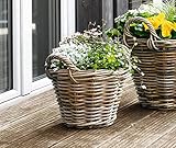 Dekoleidenschaft Pflanzkorb Rattan klein, Ø 30x 23 cm Blumentopf, Pflanztop