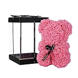 NWSX Rosenbär Blumenbär Perfekt zum Jubiläum, Rose Teddybär Mütter - Klare Geschenkbox inklusive! 10 Zoll groß - über 200+ Blumen (pin, 10in)