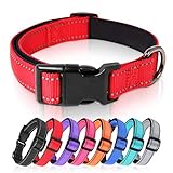 HEELE Hundehalsband, Hundehalsband aus Nylon, Reflektierend Halsband Hund mit Weich Neopren Gepolstert für Welpen Kleine Mittel Große Hunde, Rot, M