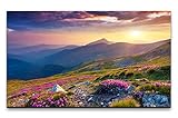 Paul Sinus Art Bilder XXL Landschaft mit Blumen 120x70cm Wandbild auf Leinw