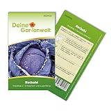 Rotkohl Roodkop 2 Samen - Brassica oleracea - Rotkohlsamen - Gemüsesamen - Saatgut für 120