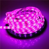 2835 SMD LED Lichtleiste DC 12V 5M 300LEDs Band Beleuchtung Weiß Warmweiß Rot Grün Blau Gelb Pink RGB (Farbe: nicht wasserdicht)