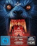 An American Werewolf in London - 3-Disc Special-Edition im veredelten Schuber - (4K UHD + Blu-ray + Bonus-Blu-ray) im Gabz Cover - T