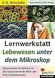 Lernwerkstatt Lebewesen unter dem Mikroskop / Klasse 5-6: Die faszinierende Welt der Kleinstlebew