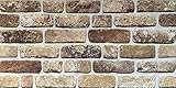 AS Country Stone | Wandverkleidung Steinoptik, 3D Wandpaneele Steinoptik, Styropor-Paneele Backsteinoptik für Innenbereich, Außenbereich, Geschäftsräume I ST110