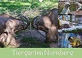 Tiergarten Nürnberg (Wandkalender 2022 DIN A3 quer)