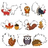 Gavbulie Herbst Dekoration, 10 Stück Ausstechformen Herbst, Erntedankfest Fondant Ausstecher und Keksausstecher - Eule, Fuchs, Ahornblatt, Eichhörnchen, Türkei, Kastanie, Trommelstocz, Igel Dek