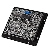 Nobsound Audio TPA3118 Digital 2.1 Channel Subwoofer Integrated Amplifier Bass Speakers Board Verstärker Bass Lautsprecher B