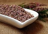 Naturix24 – Erikablüten, Heidekrautblüten gerebelt – 500g-B