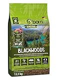 Wildborn Blackwoods 12,5 kg Hundefutter getreidefrei mit Kaninchen, Wildschwein & Rentier für alle Erwachsenen Hunde ab 6. Monaten | Hundefutter Trockenfutter ohne Zusatzstoffe Made in Germany