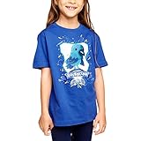Elbenwald Harry Potter Kinder T-Shirt Magical Ravenclaw Baumwolle blau - 146/152