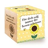 Feel Green Celebrations Ecocube, Sonnenblume Bio Samen, Holzwürfel Mit Lasergravur «Für Dich Soll Immer Die Sonne Scheinen», Nachhaltige Geschenkidee, Anzuchtset, M