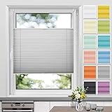 Plissee Klemmfix ohne Bohren, Hellgrau 60 x 120 cm (BxH), Faltrollo Plisseerollo mit Klemmträger, Jalousie Rollos für Fenster und Tür, Sichtschutz und S