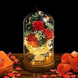 Shirylzee Rose im Glas Ewige Rose Glas Licht Künstliche Rose mit LED-Licht in Glaskuppel, Romantisch Dekoration Geschenk zum Muttertag Valentinstag Jubiläum Geburtstag Hochzeit Weihnachten (Rot)
