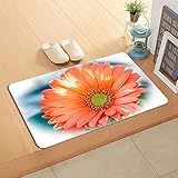 YuPancjua Flanell rutschfeste Weiche Tasche Balkon Küche Badezimmer Türmatte Teppich Gerbera Flower 3D-Druck Türmatte Teppich Waschbar 40X60Cm J8952