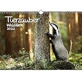 Tierzauber Waldtiere DIN A3 Kalender für 2022 Tiere im Wald - Geschenkset Inhalt: 1x Kalender, 1x Weihnachtskarte (insgesamt 2 Teile)