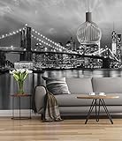 Sunny Decor SD934, Bunt Fototapete Brooklyn Bridge B/W