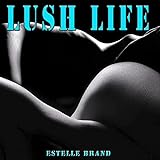 Lush Life (Remake Remix to Zara Larsson)
