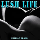 Lush Life (Remake Remix to Zara Larsson)