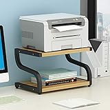 PUNCIA Office Desktop-Laser-Multifunktionsdrucker Kopierer Scanner Regalständer Rack mit Anti-Rutsch-Pads für Desktop-Organizer Ablagefach Doppelstock für Mikrowellen-Topfpflanzen (Schwarz)