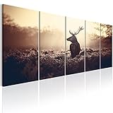 murando - Bilder Hirsch 200x80 cm Vlies Leinwandbild 5 TLG Kunstdruck modern Wandbilder XXL Wanddekoration Design Wand Bild - Natur Tier Landschaft g-B-0045-b-p