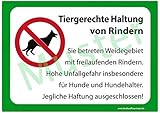 Landkaufhaus Mayer Weide Warnschild *Tiergerechte Haltung von Rindern* 29 x 21cm, Warnschild,Weidezaun,Weidegebiet,