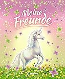 Meine Freunde (Einhörner) (Eintragbücher)