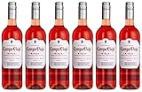 Campo Viejo Tempranillo Rosé Wein – Frischer Rosé mit zart-fruchtigem Geschmack aus Spanien – Weinbox-Set 6 x 0,75