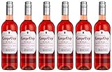 Campo Viejo Tempranillo Rosé Wein – Frischer Rosé mit zart-fruchtigem Geschmack aus Spanien – Weinbox-Set 6 x 0,75