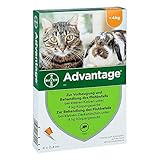 Advantage 40 mg Lösung für kleine Katzen/kleine Zierk