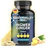 Ingwer Kapseln | Ginger Extrakt | Hochdosiert | 1000 mg Tagesdosis | Pflanzlich | Ohne Zusatzstoffe | Laborgeprüft | 120 Kapseln | Made in Germany | Mastervalley