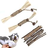 Leikedun Katzenminzen Sticks, 2 Stück Katzenminze-Spielzeug+10 Stück Katzenminze Sticks, Bonbonspieße in Form aus echtem Matatabi Holz als zur Katzen Zahnpflege und gegen Mundgeruch der Katze S