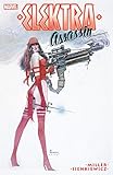 Elektra: Assassin (Elektra: Assassin (1986-1987)) (English Edition)