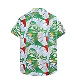 Kehen- Herren 's T ShirtsButton DownDailyClassic Top Herren Hemden Lange Ä