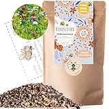 Bienenwiese I 100g I 100m² Blumenwiese Samen mehrjährig und einjährig I Samen für Bienen Blumenmischung I Wildblumensamen für Balkonblumen und Wildblumen I bunte Bienenweide I B