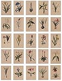 24 Blatt Postkarten, Vintage Postkarten, mit schöner Blumensprache gedruckt auf Kraftpapier, Liebe, Freundschaft, Leben, Motivation Grußkarten - L