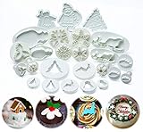 ilauke 25tlg. Modellierwerkzeug Ausstechformen Fondant Weihnachten Ausstecher Backen Tortendeko Auswerfer Weihnachtsman Schlitten Kiefer Weihnachtsbaum Schneeflocken Mazipan Kuchendek