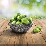 mexikanische Minigurke/Snackgurke/ 25 x Samen, 100% Naturalseeds, ideal für Terrasse, Fensterbank, Containerk