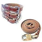 Fairone Hundeleine + Hundehalsband im Set Leder Stabil und Elegant - hundeleine Set Leder für große Hunde und kleine Hunde geflochten mit starken Karabiner und schleppleine jogging