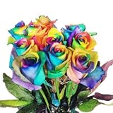 Bunte Blumen: 10x Echte Regenbogen Rosen, bunt - langstielig und vasenfertig