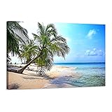 Arjazia Bild Landschaft Ocean Palme – Wanddekoration Natur – 60 x 40 cm und 90 x 60 cm – Kunstdruck auf Leinwand, gespannt auf Holzrahmen (60 x 40 cm)