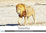 Namibia, Faszination Wüste und Tierwelt (Wandkalender 2022 DIN A3 quer)