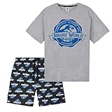 Jurassic World Pyjama Herren, Schlafanzug Zweiteilige Set für Herren, Weiche und Wärme Nachtwäsche Herren, Geschenke für Ihn (Grau/Schwarz, L)