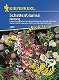 Kiepenkerl 4598 Schattenblume Mischung (Schattenblumensamen)