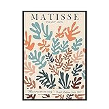 Matisse Retro abstrakte Pflanzenblume Wandbild, nordisches Poster und Druckkunstdekoration, rahmenloses Leinwandbild A1 20x30