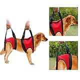 Hunde Tragehilfe vorne Hund Unterstützung Harness Pet Gehhilfe Heben Ziehen Weste Sling Unterstützung Rehabilitation für Alte & Verletzte Hunde (Hind Leg - M-Red)