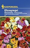 Elfenspiegel Nemesia Märchenzauber von Kiepenk