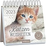 Postkartenkalender Katzenweisheiten 2023: Dekorativer Tischkalender fü