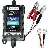 LODCHAMP 146303 Batterietrainer 6V/12V-750mAh IP65 Erhaltungsladegerät Batterieladegerät Erhaltungsgerät für KFZ Auto Motorrard Quad ATV Boot, Silb