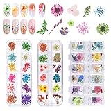 EMAGEREN Nagel Getrocknete Blume 3 Box Kleine Trockenblumen 3D Nailart Sticker Getrocknete Blumen Nagelkunst Aufkleber Getrocknete Blüten Nagel Kunst Zubehör für Nägel Dekoration Epoxidharz Dek